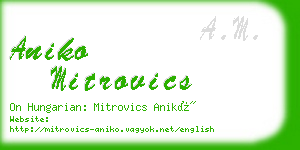 aniko mitrovics business card